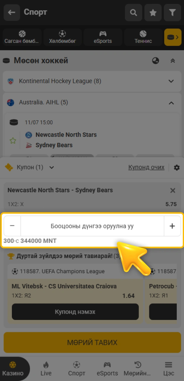 Хүссэн мөнгөн дүнгээ оруулан Melbet апп дотор бооцоогоо баталгаажуулна уу.